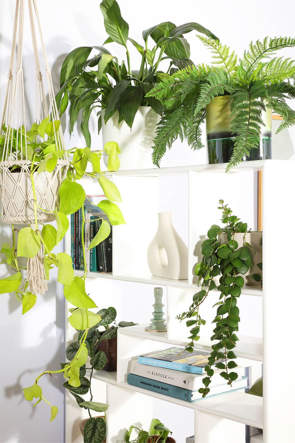 Lush greenery to brighten up an earthy living room