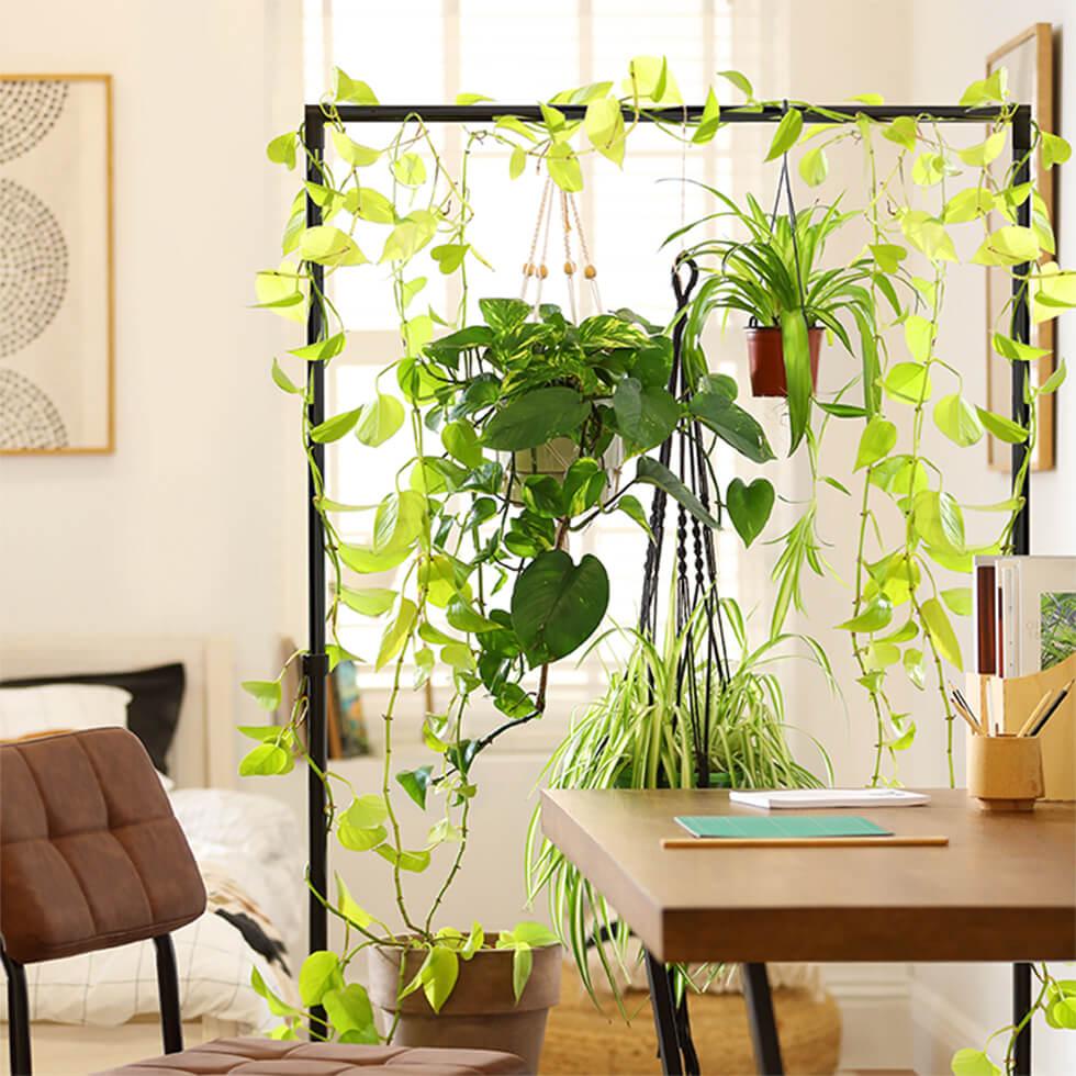 fout Faculteit Voorrecht A stylish and refreshing DIY plant room divider | Inspiration | Furniture  And Choice