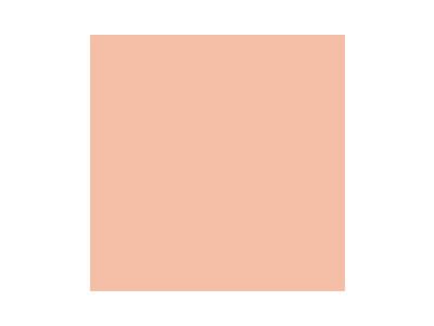 Dulux Wall Colour - Coral Canyon 3